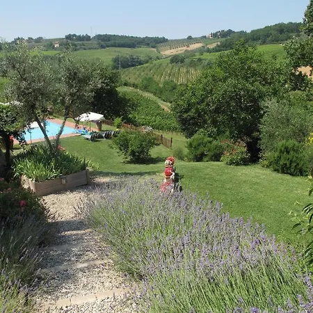 & Winery Il Bacio