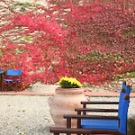 & Winery Il Bacio 팜스테이 *