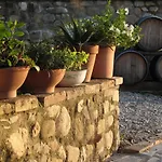 & Winery Il Bacio 팜스테이