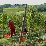 & Winery Il Bacio Tavarnelle Val di Pesa