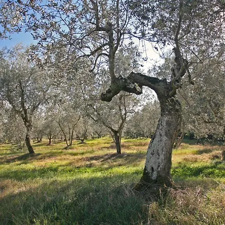 Agriturismo & Winery Il Bacio * Tavarnelle Val di Pesa