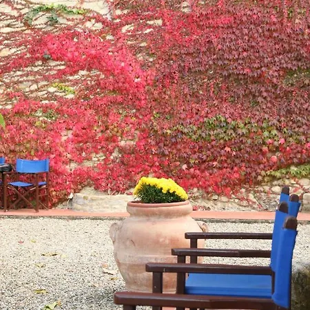 Agriturismo & Winery Il Bacio Farm stay *