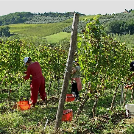 & Winery Il Bacio Tavarnelle Val di Pesa