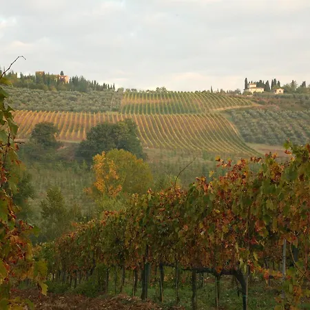 & Winery Il Bacio * Tavarnelle Val di Pesa
